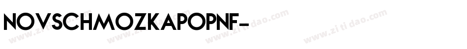 NovSchmozKapopNF字体转换