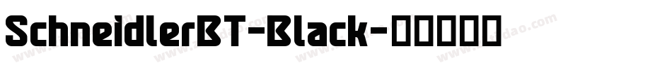 SchneidlerBT-Black字体转换
