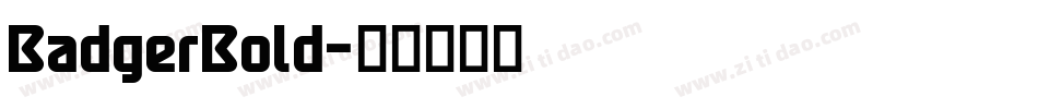 BadgerBold字体转换