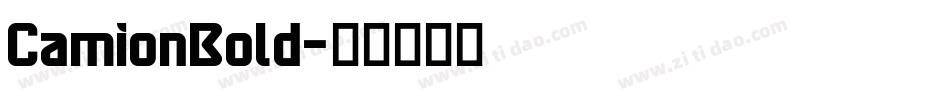 CamionBold字体转换