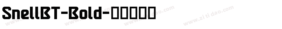 SnellBT-Bold字体转换