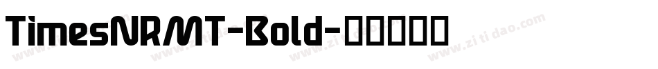 TimesNRMT-Bold字体转换