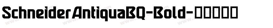SchneiderAntiquaBQ-Bold字体转换