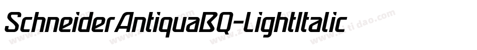 SchneiderAntiquaBQ-LightItalic字体转换