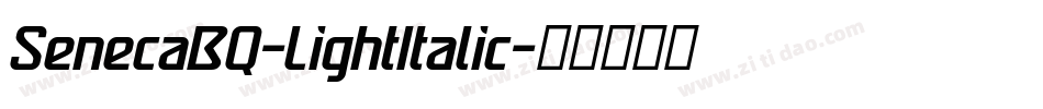 SenecaBQ-LightItalic字体转换