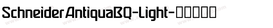 SchneiderAntiquaBQ-Light字体转换