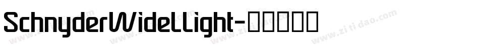 SchnyderWideLLight字体转换