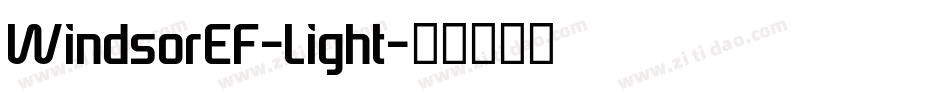 WindsorEF-Light字体转换