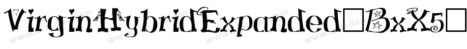 VirginHybridExpanded-BxX5字体转换