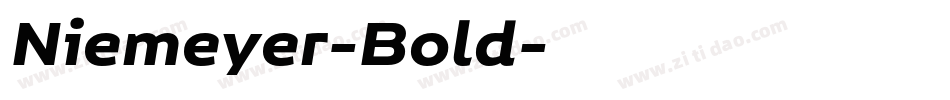 Niemeyer-Bold字体转换