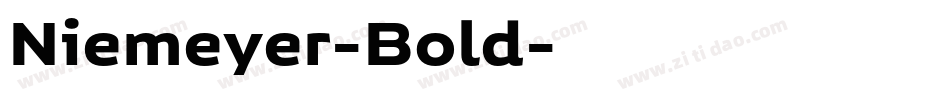 Niemeyer-Bold字体转换