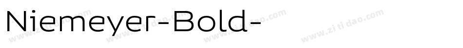 Niemeyer-Bold字体转换