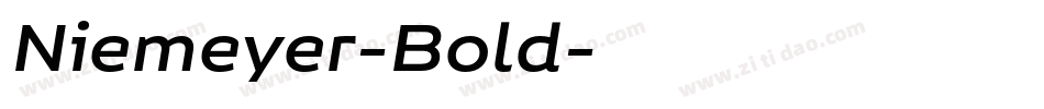 Niemeyer-Bold字体转换
