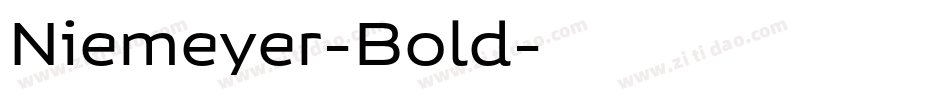 Niemeyer-Bold字体转换