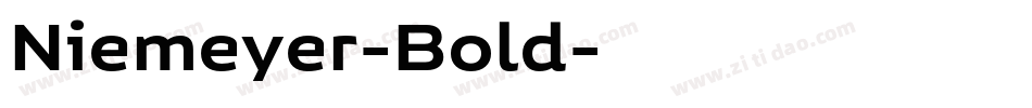 Niemeyer-Bold字体转换