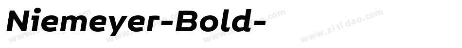 Niemeyer-Bold字体转换