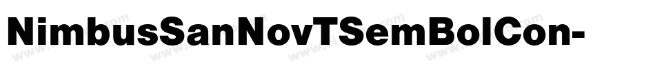 NimbusSanNovTSemBolCon字体转换