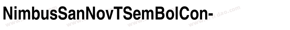 NimbusSanNovTSemBolCon字体转换