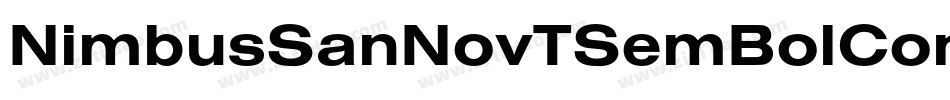 NimbusSanNovTSemBolCon字体转换