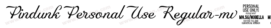 PindunkPersonalUseRegular-mv69字体转换 PindunkPersonalUseRegular-mv69字体转换