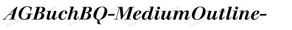 AGBuchBQ-MediumOutline字体转换