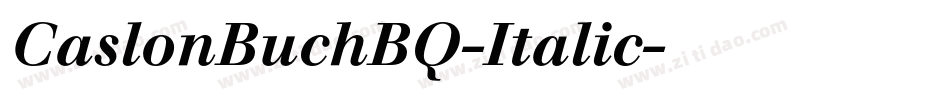 CaslonBuchBQ-Italic字体转换