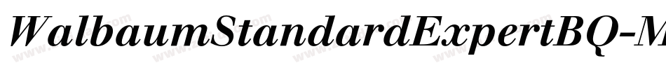 WalbaumStandardExpertBQ-Medium字体转换