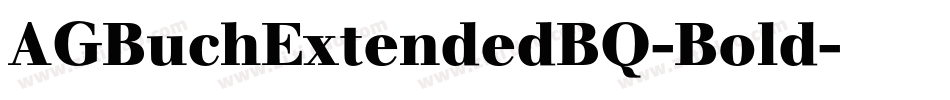AGBuchExtendedBQ-Bold字体转换