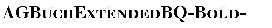 AGBuchExtendedBQ-Bold字体转换