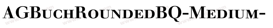 AGBuchRoundedBQ-Medium字体转换
