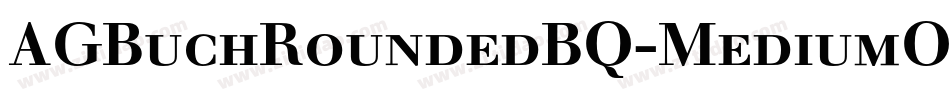AGBuchRoundedBQ-MediumOutline字体转换