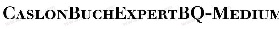 CaslonBuchExpertBQ-Medium字体转换
