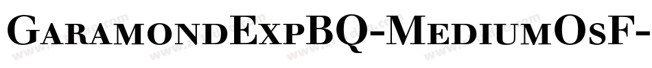 GaramondExpBQ-MediumOsF字体转换