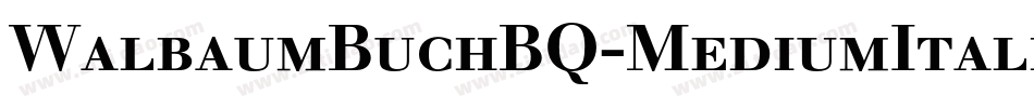 WalbaumBuchBQ-MediumItalic字体转换