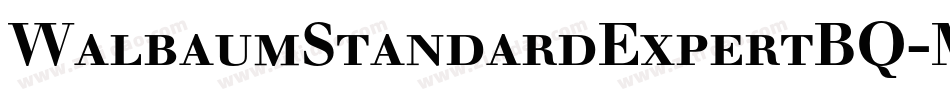 WalbaumStandardExpertBQ-Medium字体转换