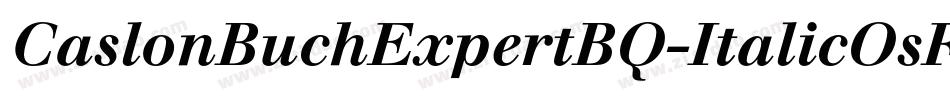 CaslonBuchExpertBQ-ItalicOsF字体转换