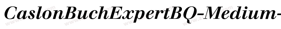 CaslonBuchExpertBQ-Medium字体转换