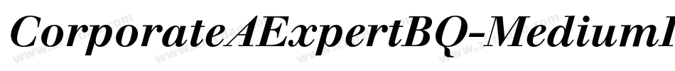 CorporateAExpertBQ-MediumItalicOsF字体转换
