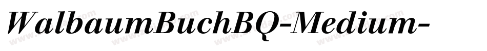 WalbaumBuchBQ-Medium字体转换