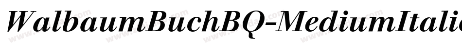 WalbaumBuchBQ-MediumItalic字体转换