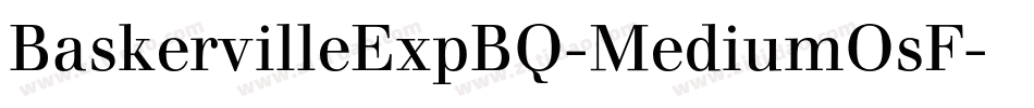 BaskervilleExpBQ-MediumOsF字体转换