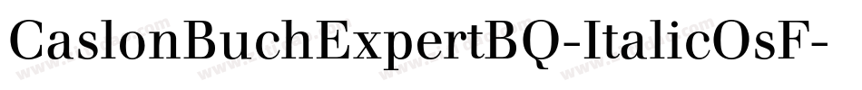 CaslonBuchExpertBQ-ItalicOsF字体转换