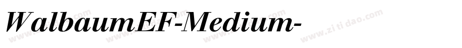 WalbaumEF-Medium字体转换