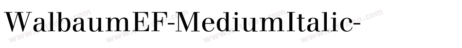 WalbaumEF-MediumItalic字体转换