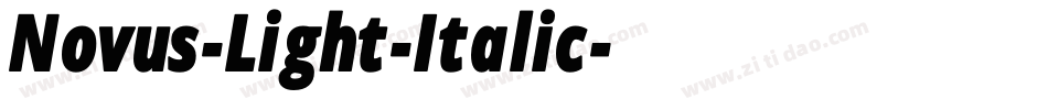 Novus-Light-Italic字体转换