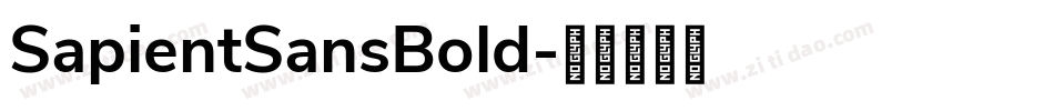 SapientSansBold字体转换