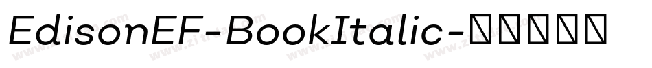 EdisonEF-BookItalic字体转换