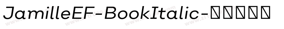 JamilleEF-BookItalic字体转换
