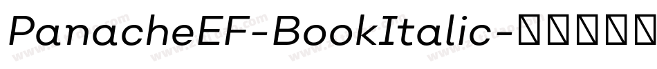 PanacheEF-BookItalic字体转换
