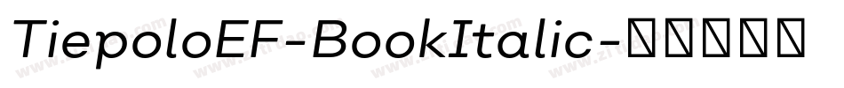 TiepoloEF-BookItalic字体转换